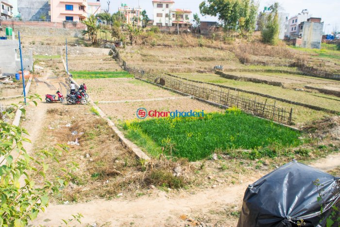 4 aana 2 daam land sale in Setipakha Imadol Lalitpur