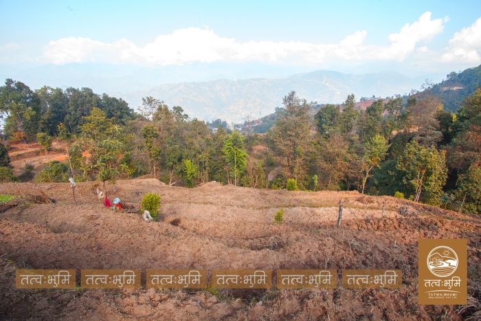 6 Ropani Land On Sale at KhariBhanjyang , Nuwakot
