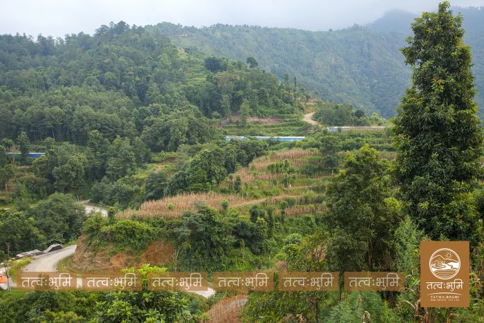 7 Ropani Highway Touched land Sale in 35 Kilo.