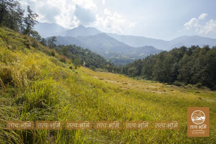 18 Ropani land on Sale at Mulabari, Nuwakot