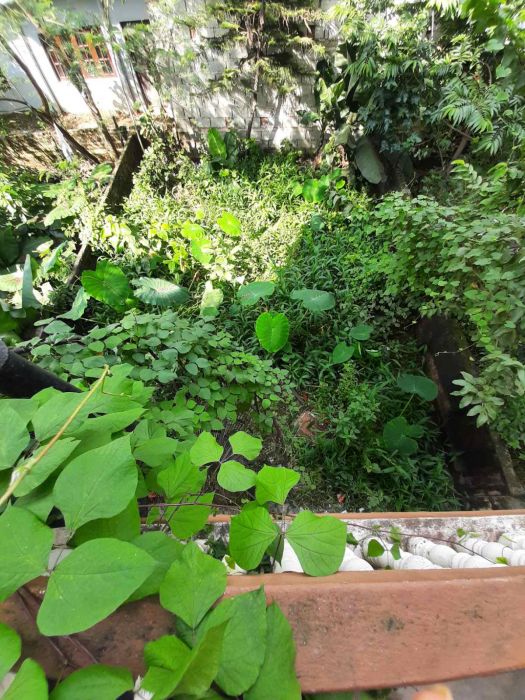 Ek Kathha Jamin Ra Aakrshak Ghar Huprachaur Sheetalmahal Chowk Mai