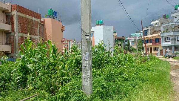 Land on sale, Dhunchepakha, Thimi