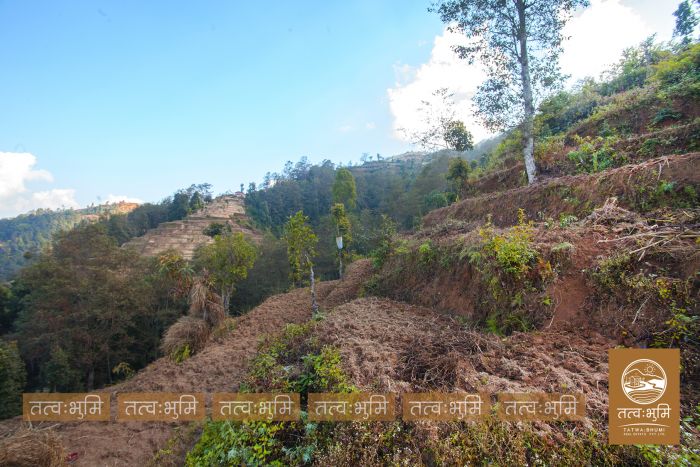 6 Ropani Land On Sale at KhariBhanjyang , Nuwakot