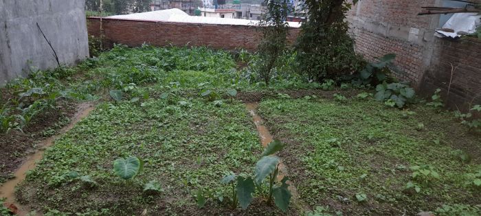 land in kathmandu