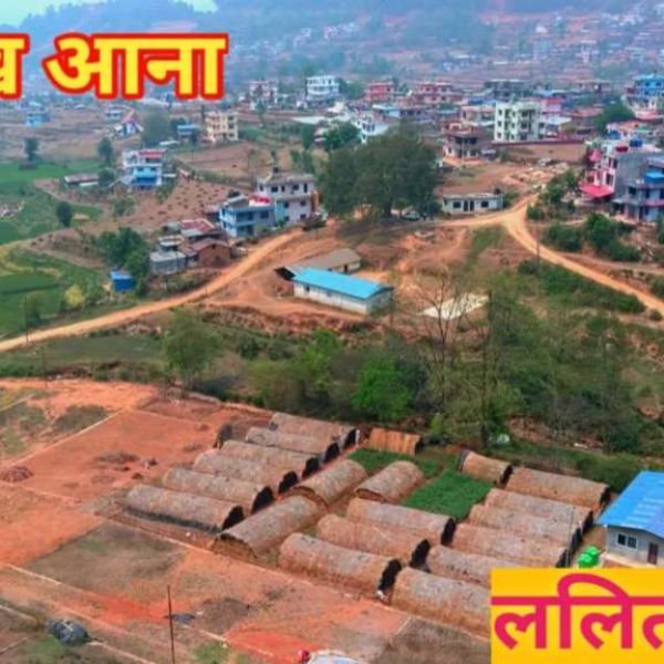 Lele lalitpur land on sell 