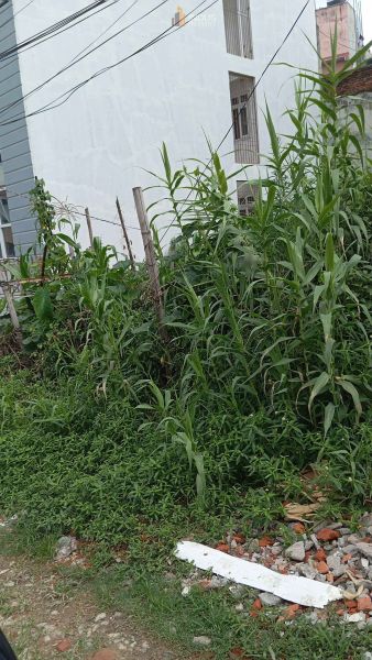 Land on sale at Kausaltar, Bhaktapur