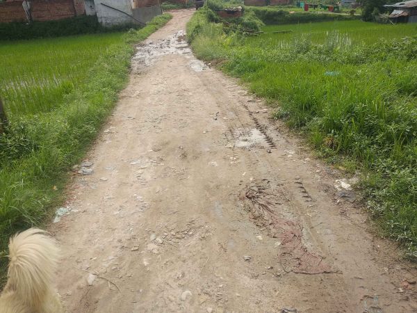 8 aana jaga 26ft bato aaraniko highway bata 1min lag6