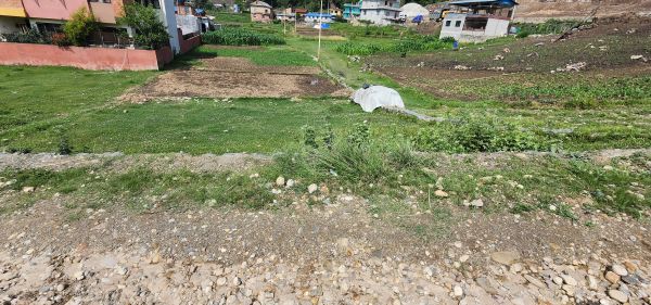 Land For Sale – 5 Aana In Dhaichhap, Karyabinayak Land For Sale – 5 Aana In Dhaichhap, Karyabinayak