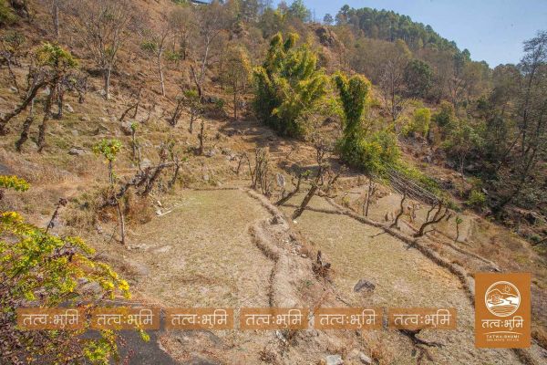 12 Ropani land for sale Kabilash, Nuwakot.