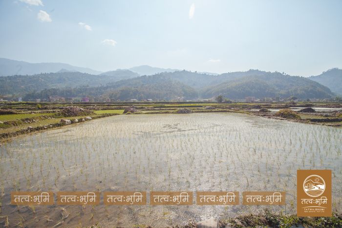 2 Ropani land near Chahare, Nuwakot on Sale