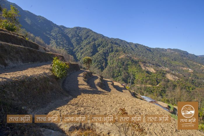 10 Ropani Land On Sale at KhariBhanjyang , Nuwakot