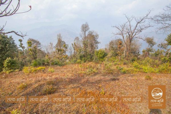 13 Ropani land for sale in Kamchok - Nuwakot
