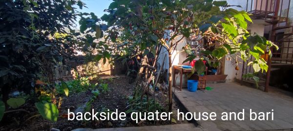 House on sale in budanilkantha