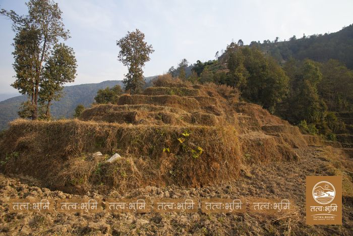 6 Ropani land on sale at Narayanthan - Nuwakot