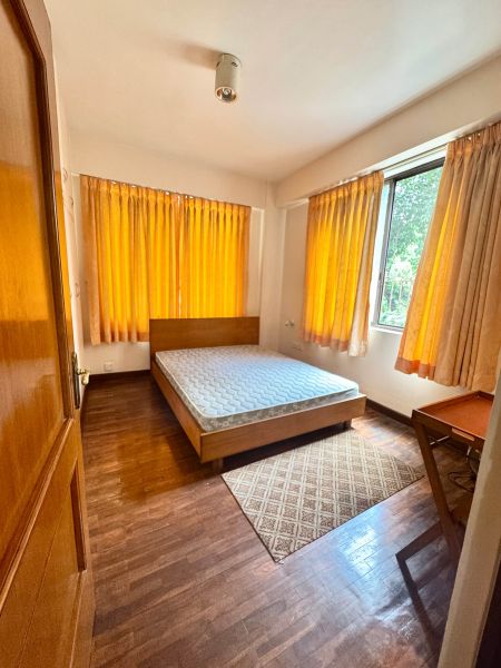 2bhk lavishly furnished apartment rent at Naxal, Kathmandu 
