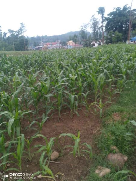 Land in heatayuda Land in heatayuda