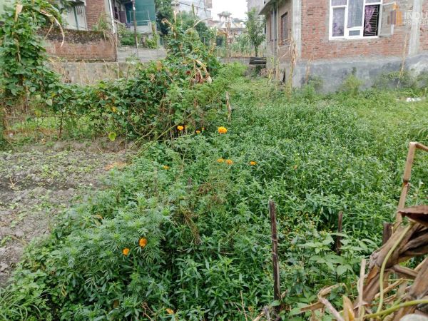 Land On Sale at Sanagau, Lalitpur
