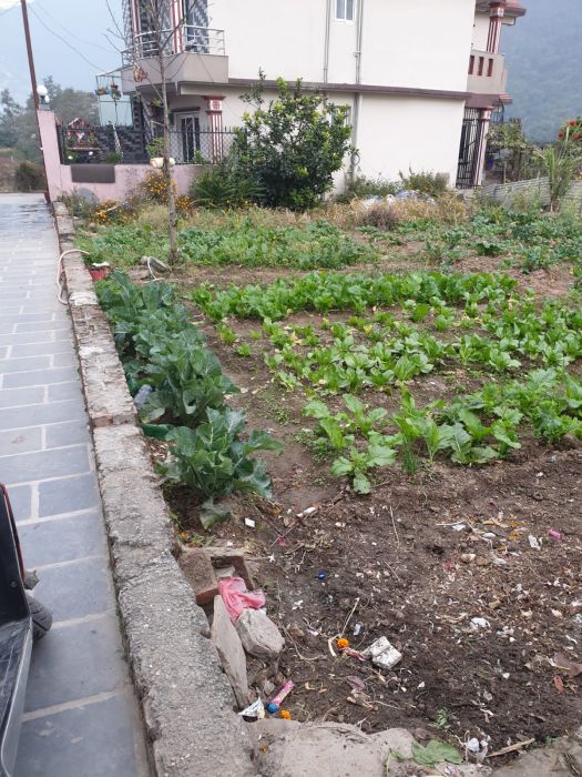 Land for sale in Tokha-2