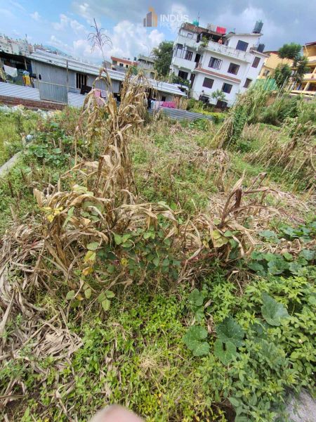 Land on sale at Sanagau, Lalitpur