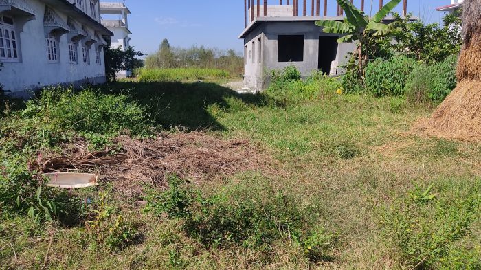 New plot sellin jhapa near municipality office 