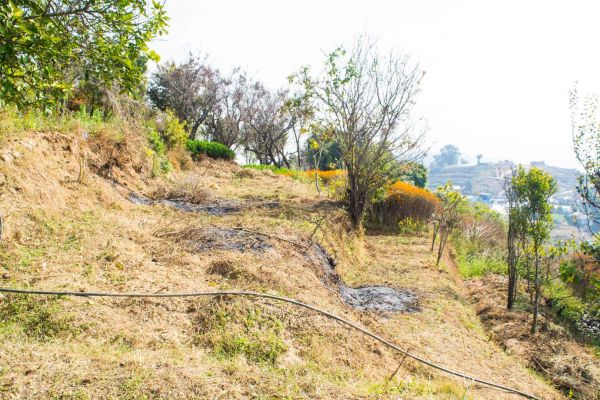 30 aana land for sale in Ramkot 8 Dadapauwa Nagarjun