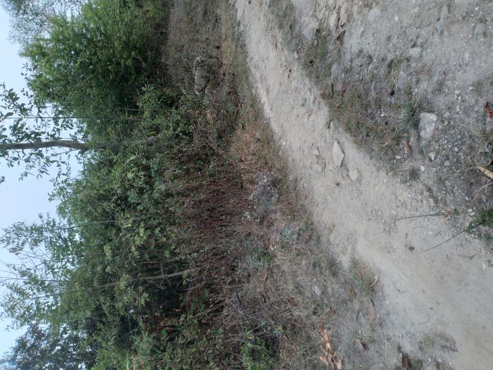 Land for sale in nuwakot