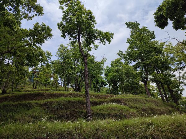 2 Ropani Land on Sale at Dahachowk