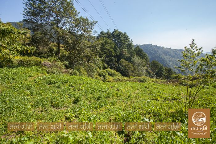 1 Ropani Land On Sale at Okharpauwa, Nuwakot