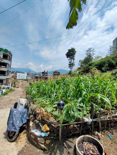 Residential Land on sell at kapan, Budanilkantha