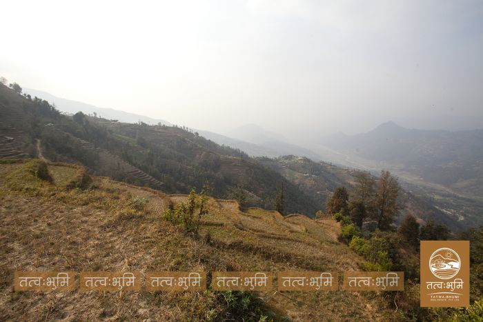 6 Ropani land on sale at Narayanthan - Nuwakot