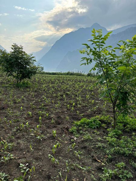 Farm house and farmland 