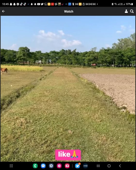 Jhapa jilla ko Bhadrapur ko Jhapa chok ko land sell