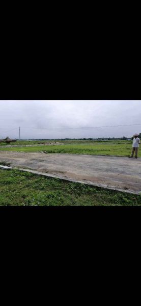 Land on sale....2 plots of 10 dhur each......single plot can be sold as well....near Wada karyalaya