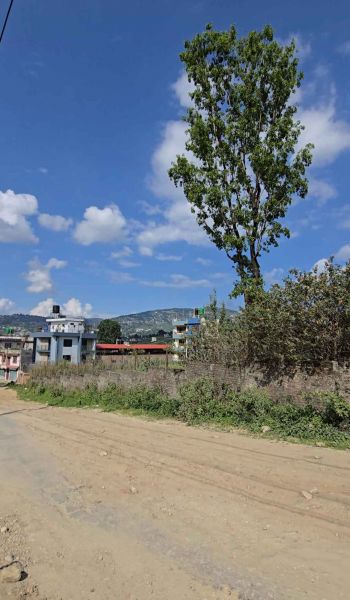 5 Ropani 8 aana land sale chhaling kharipati