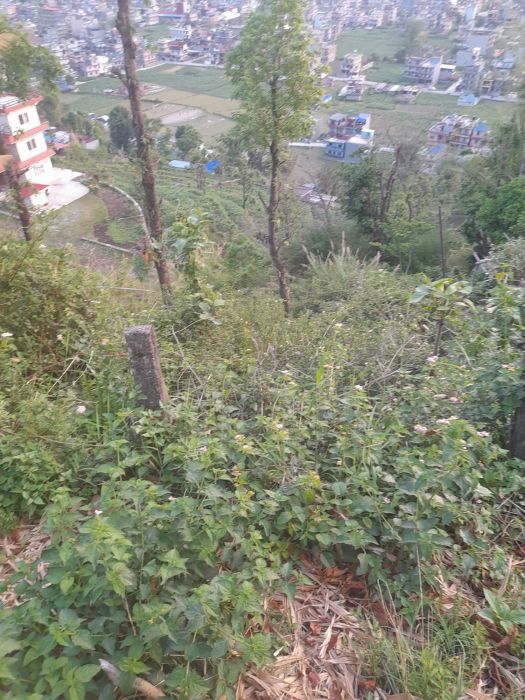 Land In sale in pokhara