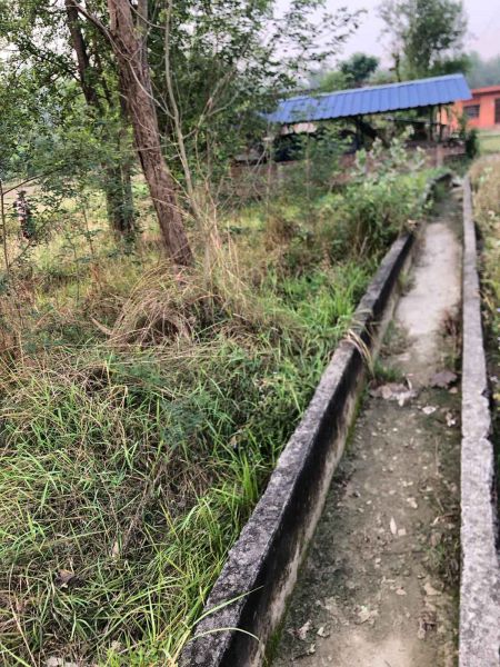 Land is sale in BUTWOL( Rupandehi district). 1 kattha 14 dhoor.