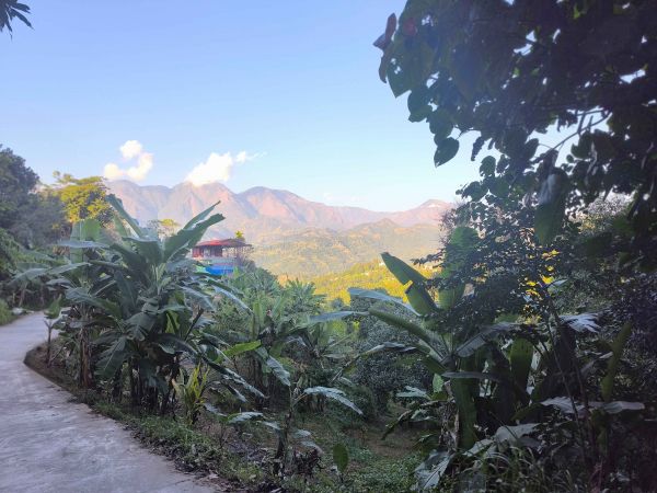  1 Kattha 5 Dhur Land for Sale — Just 20 Min from Hetauda City! 