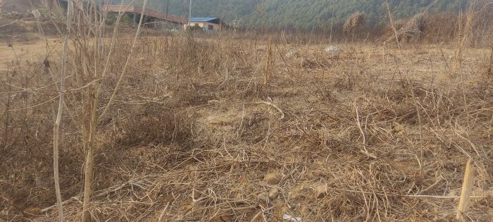 Sasto 3 ropani 10 Anna jagga bikrima