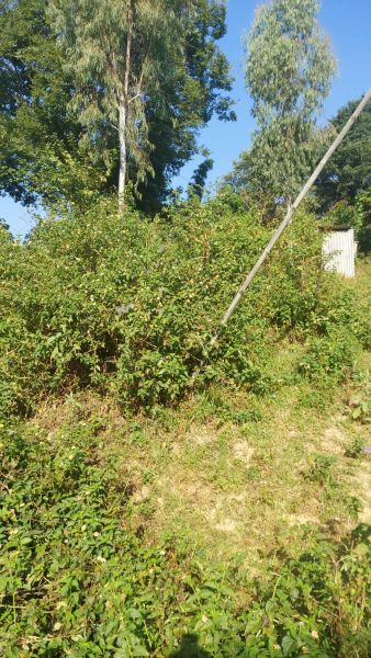 LAND SALE AT DHOLAHITI, LALITPUR LAND SALE AT DHOLAHITI, LALITPUR