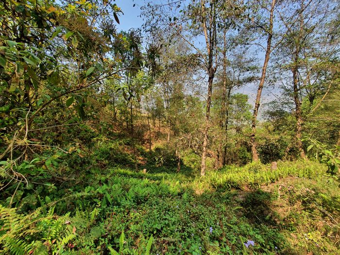 26 Ropani Land On Sale at Sunkhani, Nuwakot