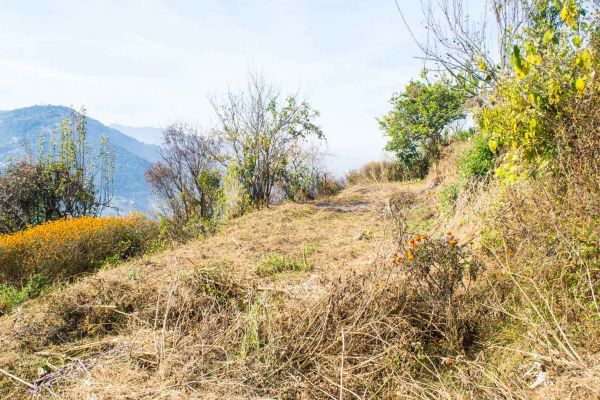 30 aana land for sale in Ramkot 8 Dadapauwa Nagarjun