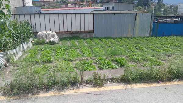 Land on sale at Debeshori sanothimi