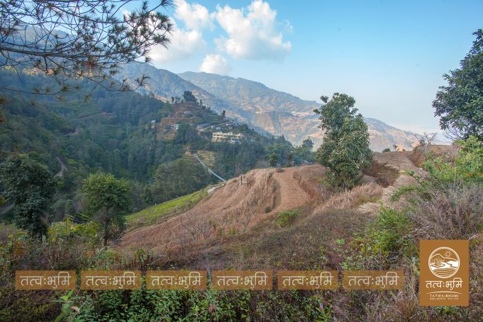 73 Ropani Land On Sale at KhariBhanjyang , Nuwakot