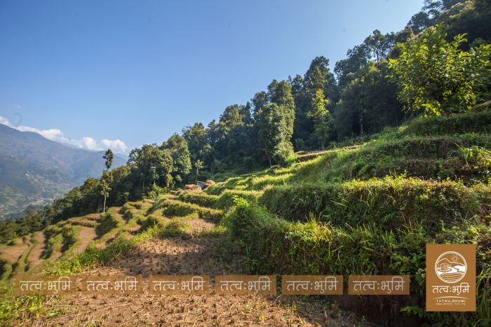35 Ropani land for sale Katheri, Nuwakot.