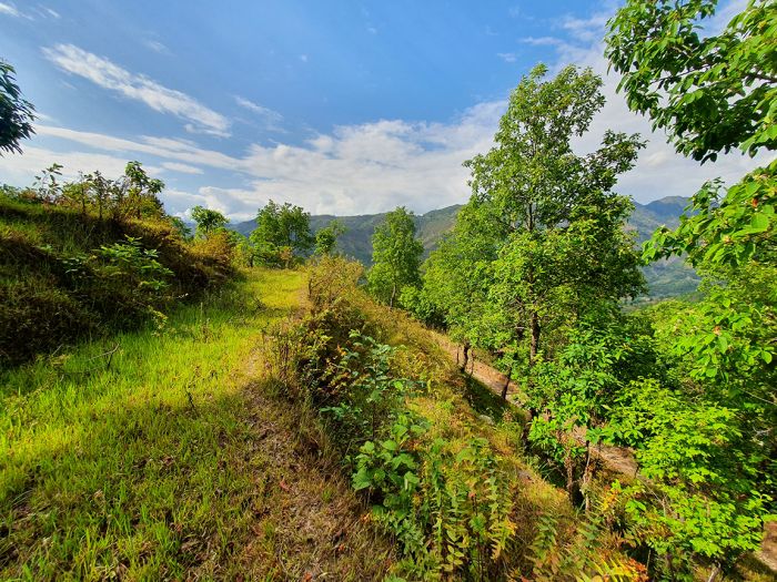 26 Ropani Land On Sale at Sunkhani, Nuwakot