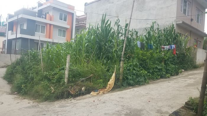 3.9 aana land at adeshwor