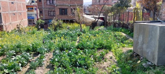 Attractive Land On Rent (pandu Bazar, Gundu Road)