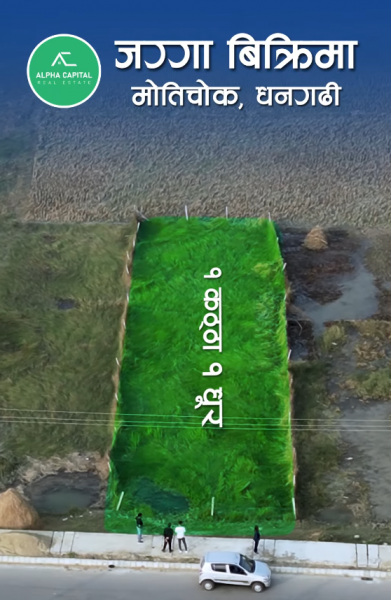 Commercial Land for Sale โ Motichowk, Dhangadhi Commercial Land for Sale โ Motichowk, Dhangadhi