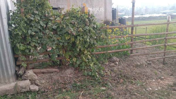 4 aana land on sale at Lubhu Lalitpur