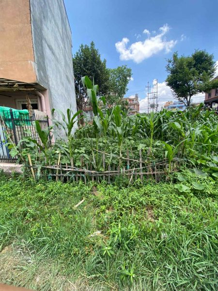 DHUSALDHARA HARISIDDHI CHEAPEST PRICE